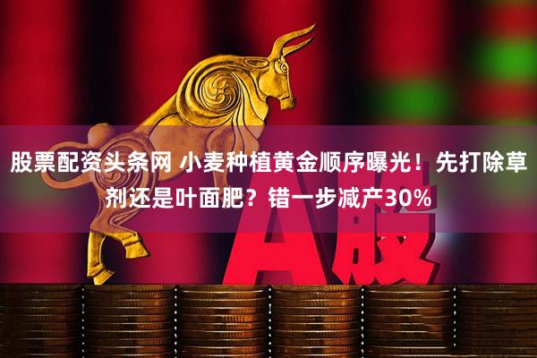股票配资头条网 小麦种植黄金顺序曝光！先打除草剂还是叶面肥？错一步减产30%