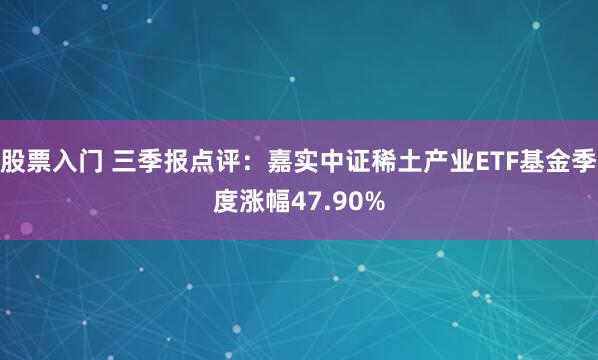 股票入门 三季报点评：嘉实中证稀土产业ETF基金季度涨幅47.90%